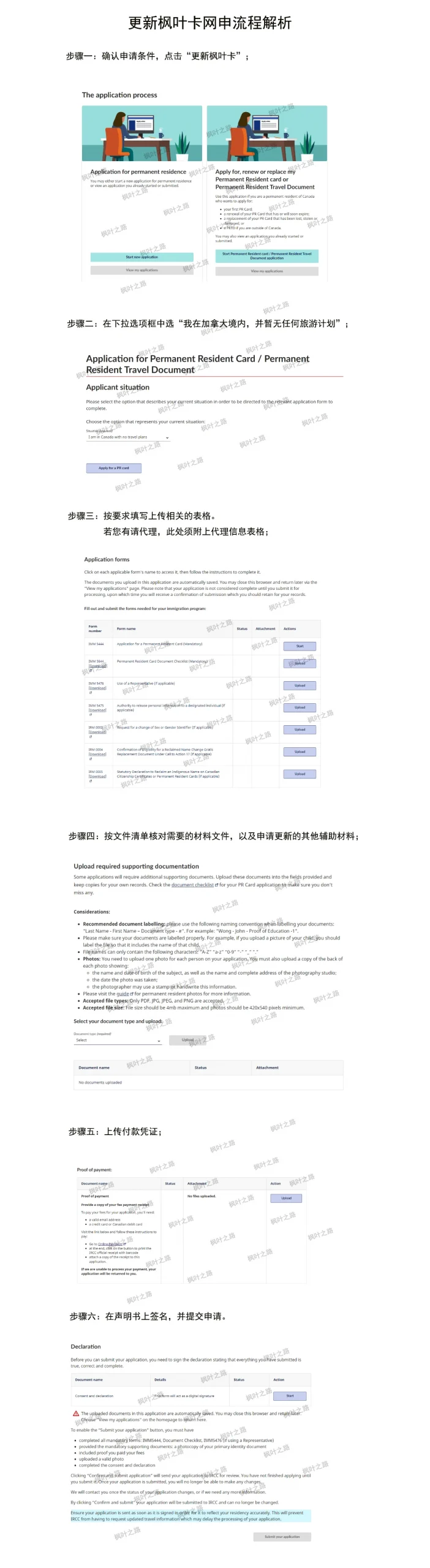 枫叶卡更新1