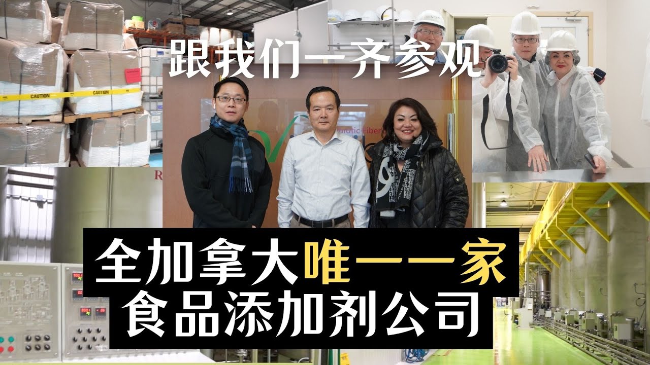 在卡尔加里找到Dream-House！一家三口為了家搬到卡尔加里