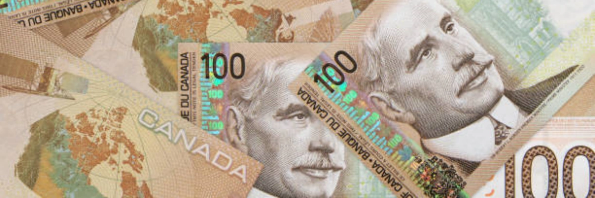 加拿大动用“钞能力”，增加多项全民福利