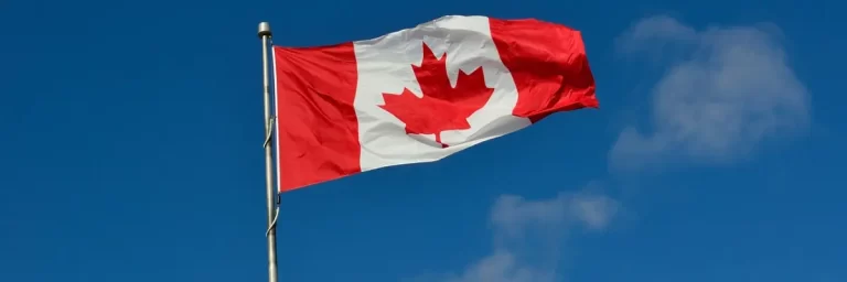 加拿大统计局消息：加拿大移民二代最成功，而学历和收入最高的是华裔！